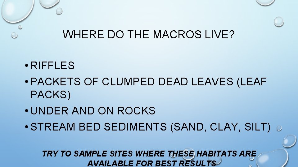 WHERE DO THE MACROS LIVE? • RIFFLES • PACKETS OF CLUMPED DEAD LEAVES (LEAF