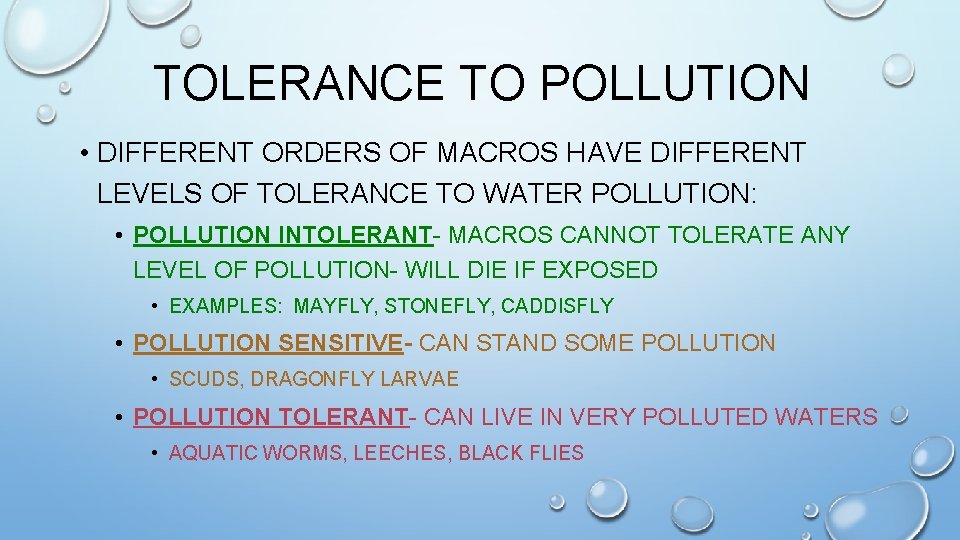 TOLERANCE TO POLLUTION • DIFFERENT ORDERS OF MACROS HAVE DIFFERENT LEVELS OF TOLERANCE TO