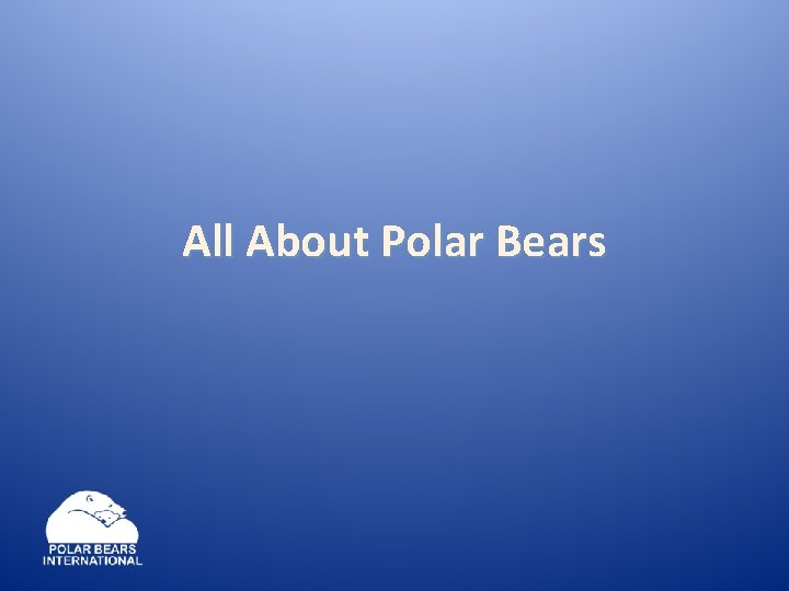 All About Polar Bears 