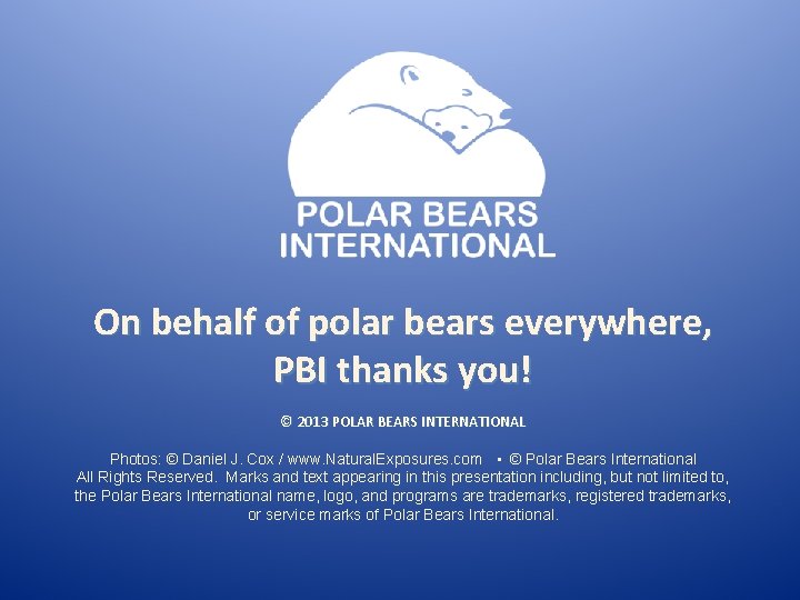 On behalf of polar bears everywhere, PBI thanks you! © 2013 POLAR BEARS INTERNATIONAL