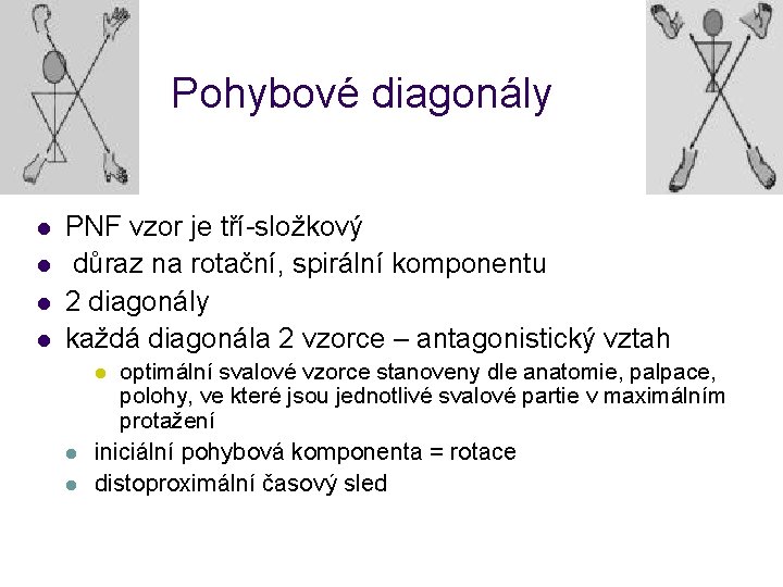 Pohybové diagonály l l PNF vzor je tří-složkový důraz na rotační, spirální komponentu 2