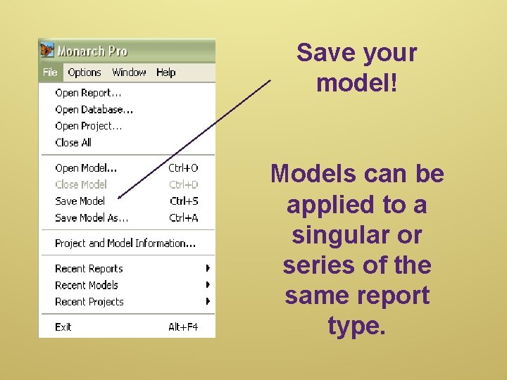 Save your model! Models can be applied to a singular or series of the