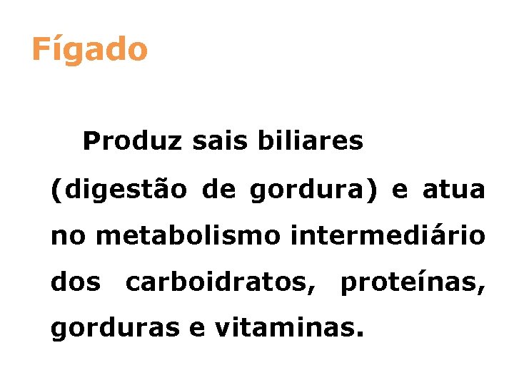 Fígado Produz sais biliares (digestão de gordura) e atua no metabolismo intermediário dos carboidratos,