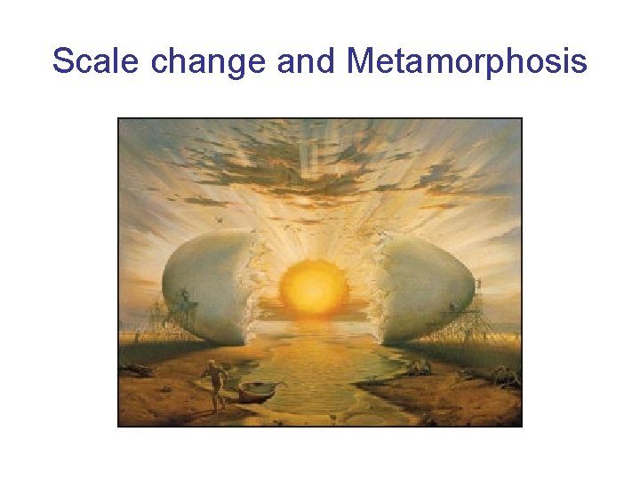 Scale change and Metamorphosis 