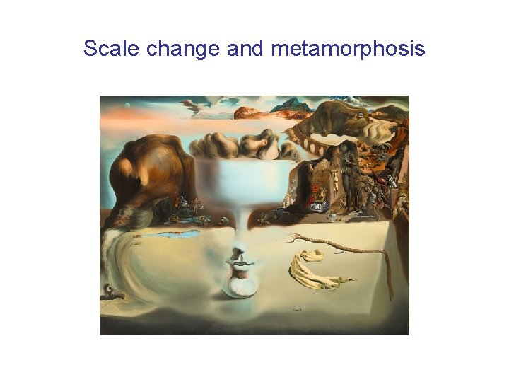 Scale change and metamorphosis 