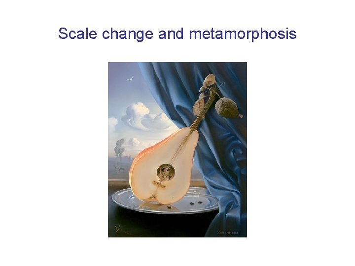 Scale change and metamorphosis 
