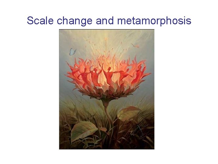 Scale change and metamorphosis 