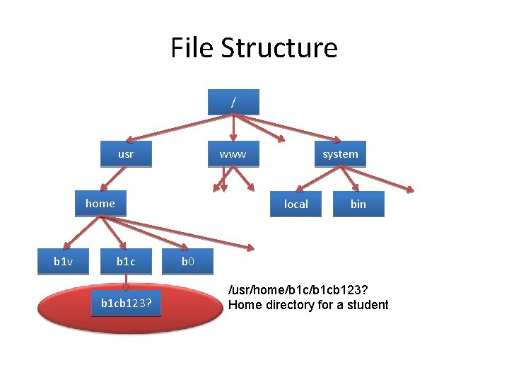 File Structure / usr www home b 1 v system local b 1 cb