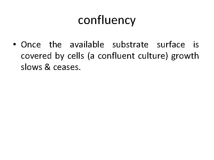 confluency • Once the available substrate surface is covered by cells (a confluent culture)