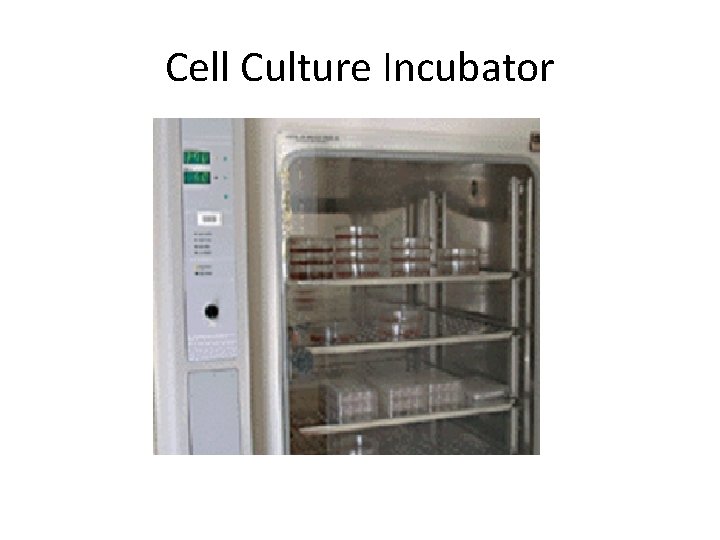 Cell Culture Incubator 