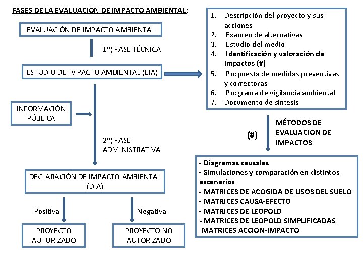 FASES DE LA EVALUACIÓN DE IMPACTO AMBIENTAL: EVALUACIÓN DE IMPACTO AMBIENTAL 1º) FASE TÉCNICA