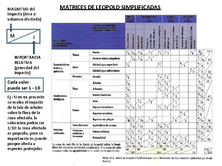 MAGNITUD del impacto (área o volumen afectado) M I IMPORTANCIA RELATIVA (gravedad del impacto)