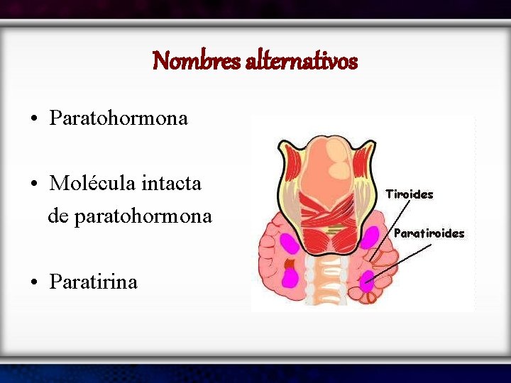 Nombres alternativos • Paratohormona • Molécula intacta de paratohormona • Paratirina 