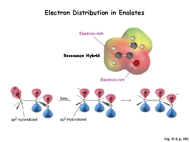 Electron Distribution in Enolates Resonance Hybrid Fig. 17 -5, p. 703 