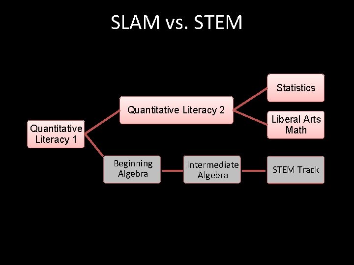 SLAM vs. STEM Statistics Quantitative Literacy 2 Quantitative Literacy 1 Beginning Algebra Intermediate Algebra