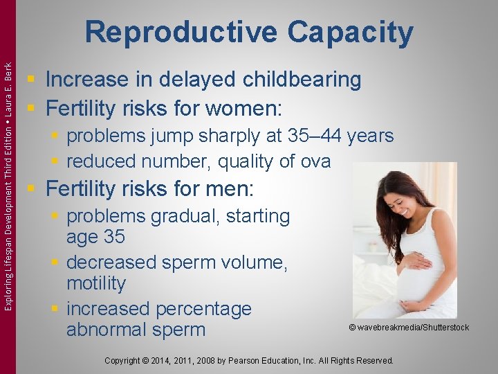 Exploring Lifespan Development Third Edition Laura E. Berk Reproductive Capacity § Increase in delayed