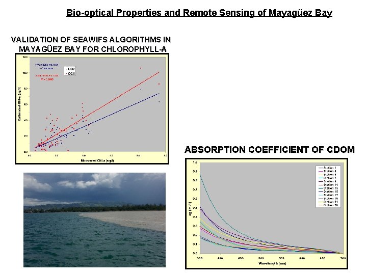 Bio-optical Properties and Remote Sensing of Mayagüez Bay VALIDATION OF SEAWIFS ALGORITHMS IN MAYAGÜ