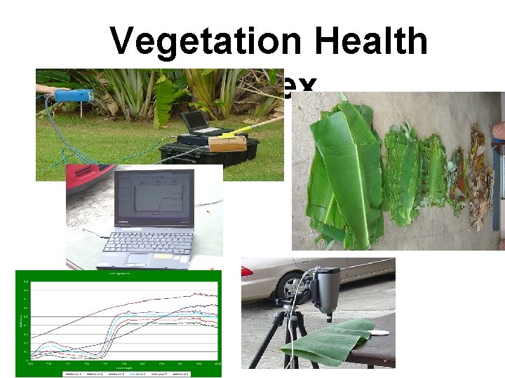 Vegetation Health Index 