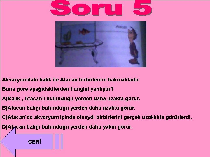 Akvaryumdaki balık ile Atacan birbirlerine bakmaktadır. Buna göre aşağıdakilerden hangisi yanlıştır? A)Balık , Atacan’ı