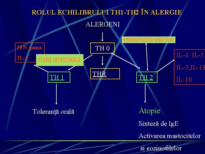 ROLUL ECHILIBRULUI TH 1 -TH 2 ÎN ALERGIE ALERGENI PREDISPOZITIA GENETICA IFN gama IL-2