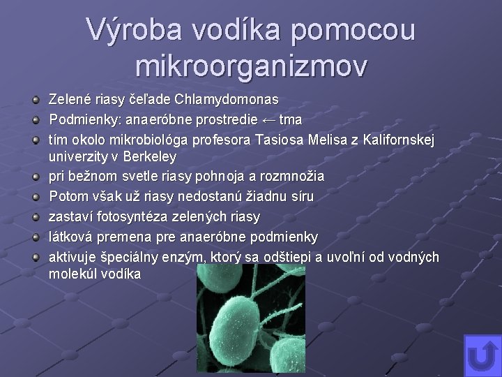 Výroba vodíka pomocou mikroorganizmov Zelené riasy čeľade Chlamydomonas Podmienky: anaeróbne prostredie ← tma tím