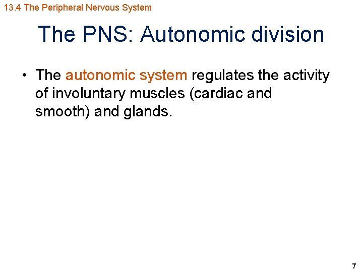 13. 4 The Peripheral Nervous System The PNS: Autonomic division • The autonomic system