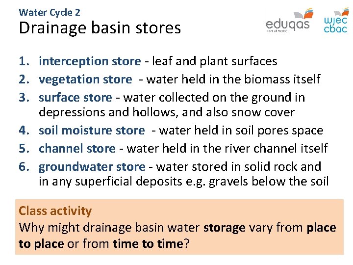 Water Cycle 2 Drainage basin stores 1. interception store - leaf and plant surfaces