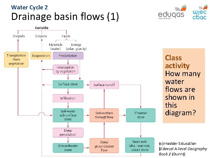 Water Cycle 2 Drainage basin flows (1) Class activity How many water flows are