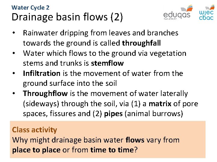 Water Cycle 2 Drainage basin flows (2) • Rainwater dripping from leaves and branches