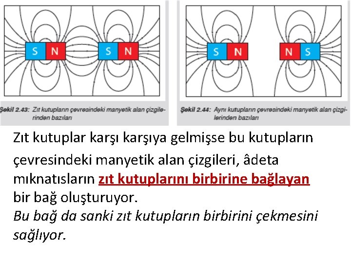 Zıt kutuplar karşıya gelmişse bu kutupların çevresindeki manyetik alan çizgileri, âdeta mıknatısların zıt kutuplarını