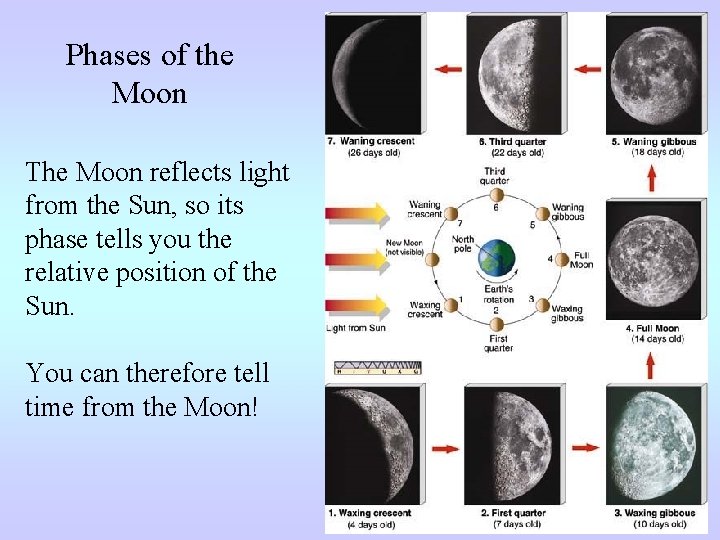 Phases of the Moon The Moon reflects light from the Sun, so its phase