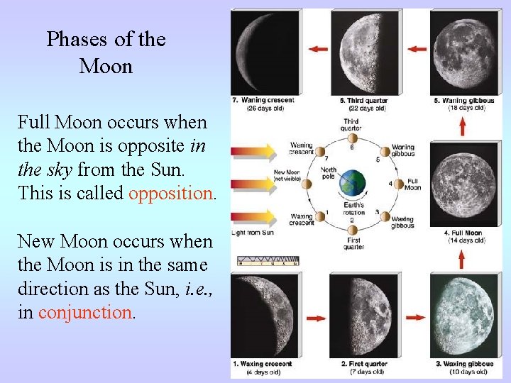 Phases of the Moon Full Moon occurs when the Moon is opposite in the