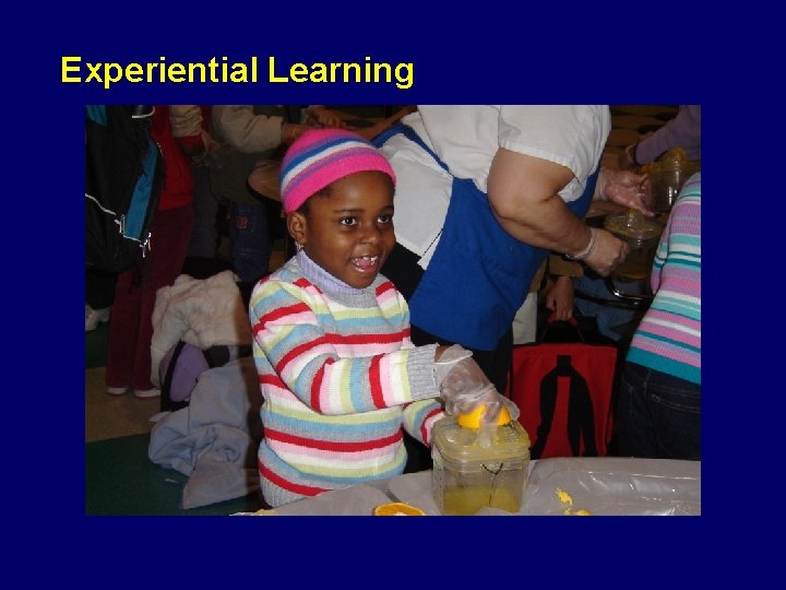 Experiential Learning 