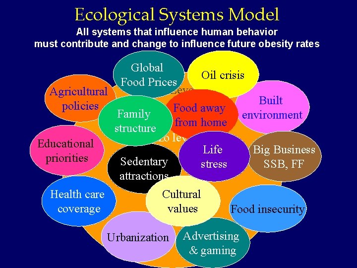 Ecological Systems Model All systems that influence human behavior must contribute and change to