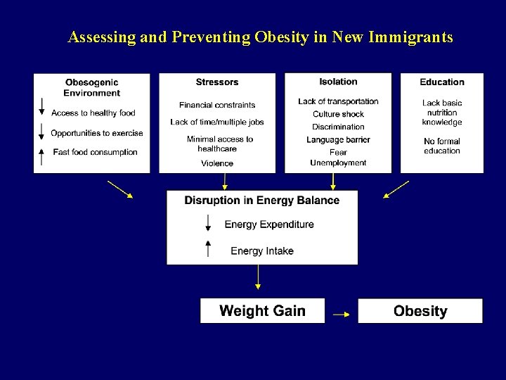 Assessing and Preventing Obesity in New Immigrants 
