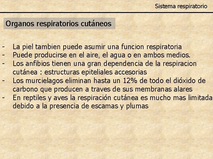 Sistema respiratorio Organos respiratorios cutáneos - La piel tambien puede asumir una funcion respiratoria