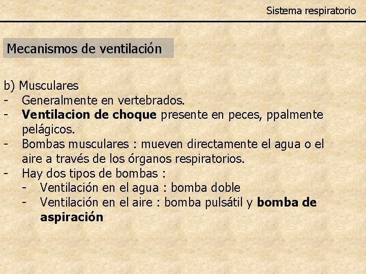 Sistema respiratorio Mecanismos de ventilación b) Musculares - Generalmente en vertebrados. - Ventilacion de