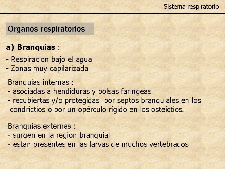 Sistema respiratorio Organos respiratorios a) Branquias : - Respiracion bajo el agua - Zonas