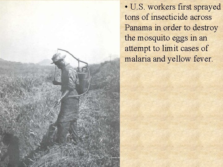  • U. S. workers first sprayed tons of insecticide across Panama in order