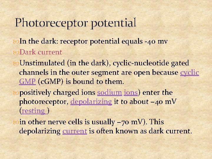 Photoreceptor potential In the dark: receptor potential equals -40 mv Dark current Unstimulated (in