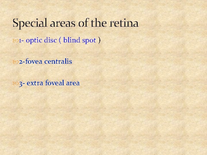 Special areas of the retina 1 - optic disc ( blind spot ) 2