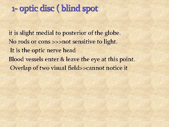 1 - optic disc ( blind spot ) it is slight medial to posterior
