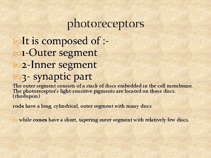 photoreceptors It is composed of : 1 -Outer segment 2 -Inner segment 3 -