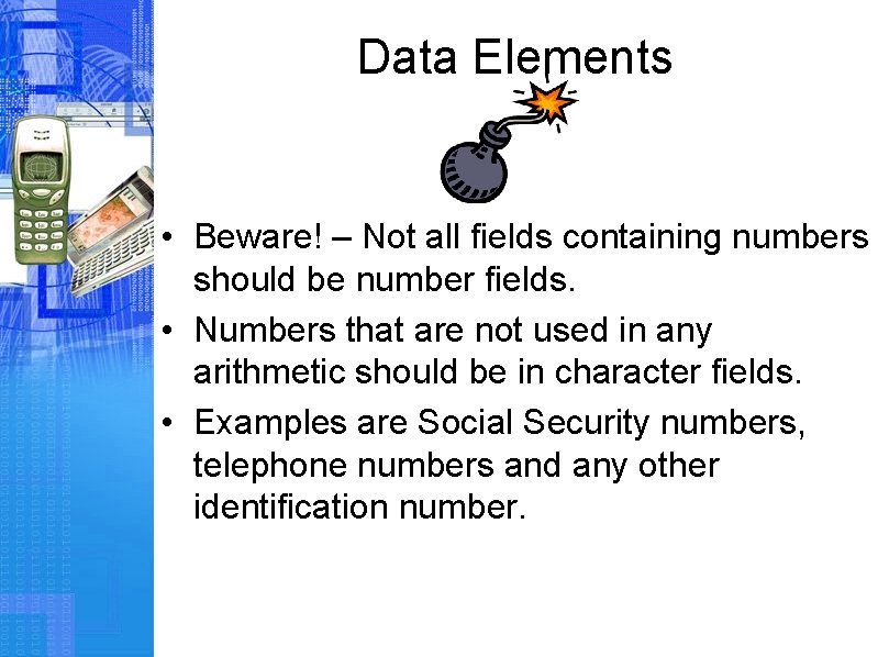 Data Elements • Beware! – Not all fields containing numbers should be number fields.