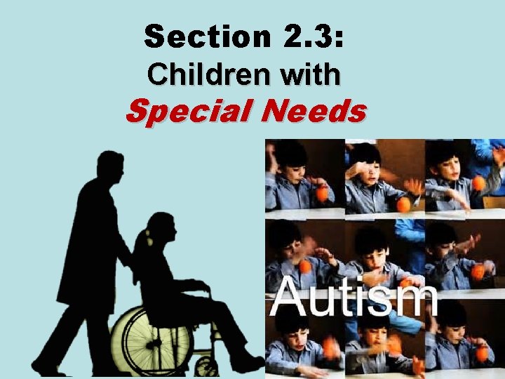 Section 2. 3: Children with Special Needs 