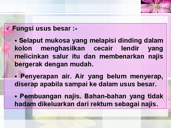 ü Fungsi usus besar : Selaput mukosa yang melapisi dinding dalam kolon menghasilkan cecair