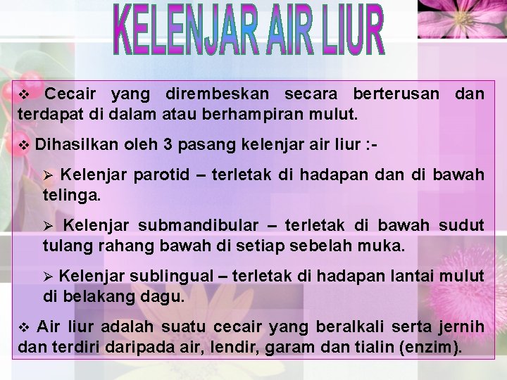 Cecair yang dirembeskan secara berterusan dan terdapat di dalam atau berhampiran mulut. v v