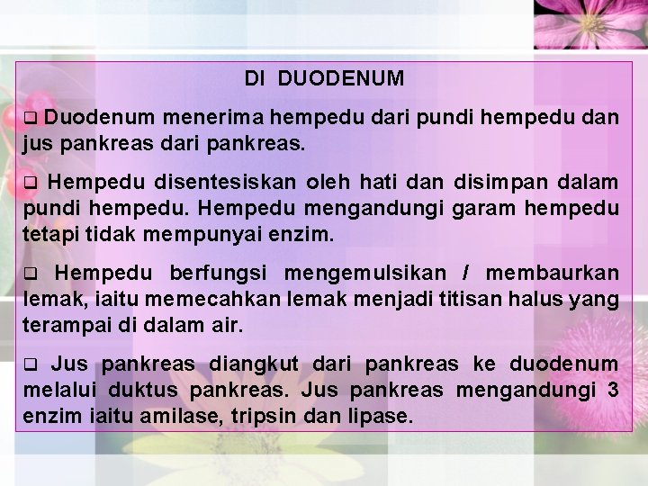 DI DUODENUM Duodenum menerima hempedu dari pundi hempedu dan jus pankreas dari pankreas. q
