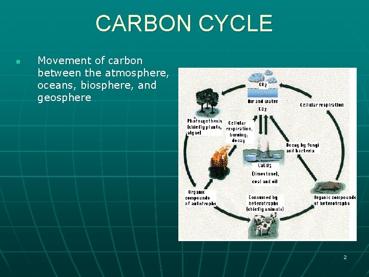 CARBON CYCLE n Movement of carbon between the atmosphere, oceans, biosphere, and geosphere 2