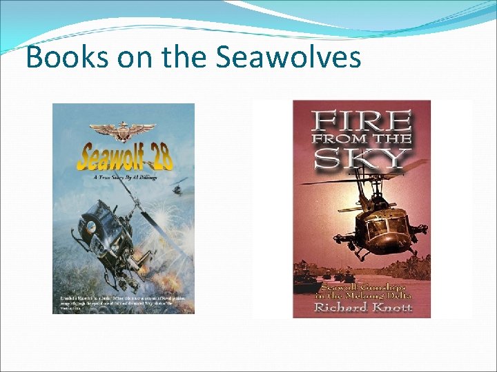 Books on the Seawolves 